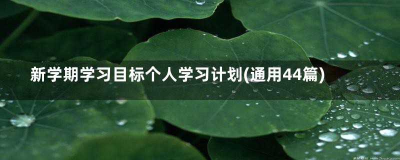 新学期学习目标个人学习计划(通用44篇)