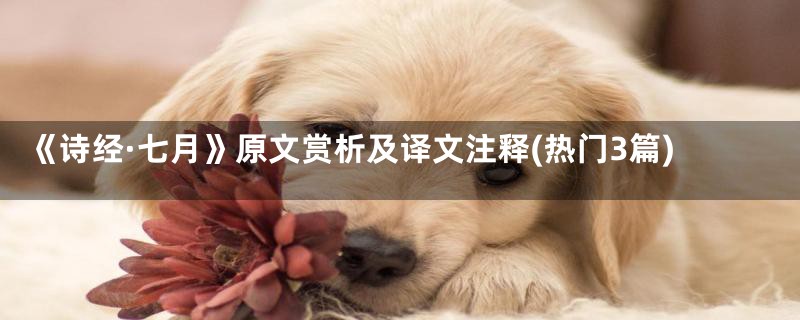 《诗经·七月》原文赏析及译文注释(热门3篇)