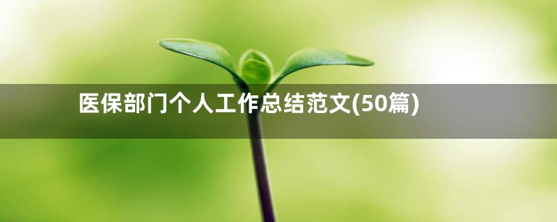 医保部门个人工作总结范文(50篇)