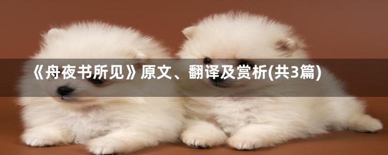 《舟夜书所见》原文、翻译及赏析(共3篇)