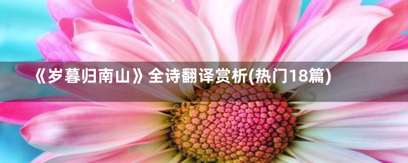 《岁暮归南山》全诗翻译赏析(热门18篇)