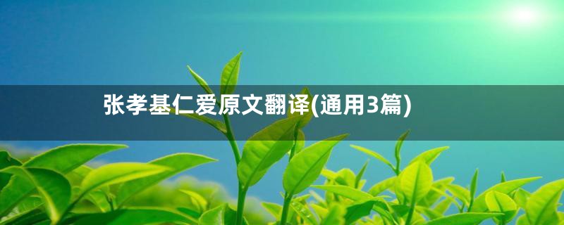 张孝基仁爱原文翻译(通用3篇)