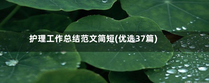 护理工作总结范文简短(优选37篇)