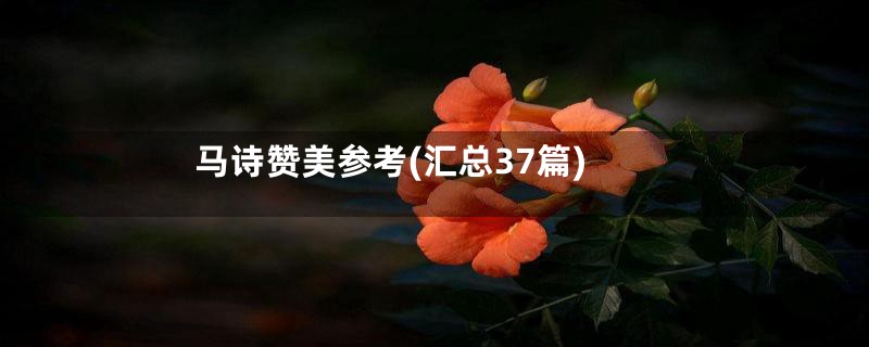 马诗赞美参考(汇总37篇)