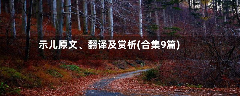 示儿原文、翻译及赏析(合集9篇)