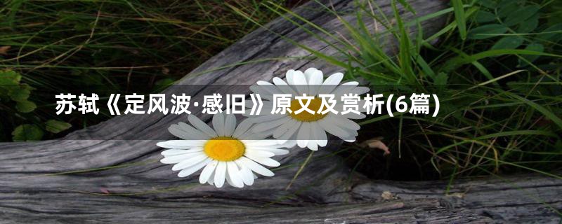 苏轼《定风波·感旧》原文及赏析(6篇)