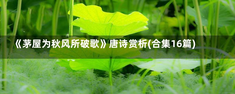 《茅屋为秋风所破歌》唐诗赏析(合集16篇)