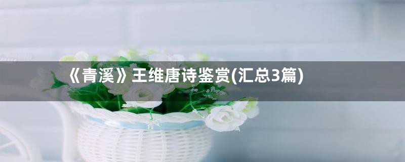 《青溪》王维唐诗鉴赏(汇总3篇)