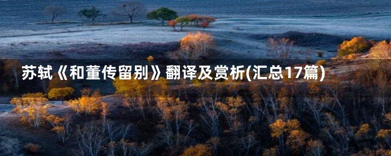 苏轼《和董传留别》翻译及赏析(汇总17篇)
