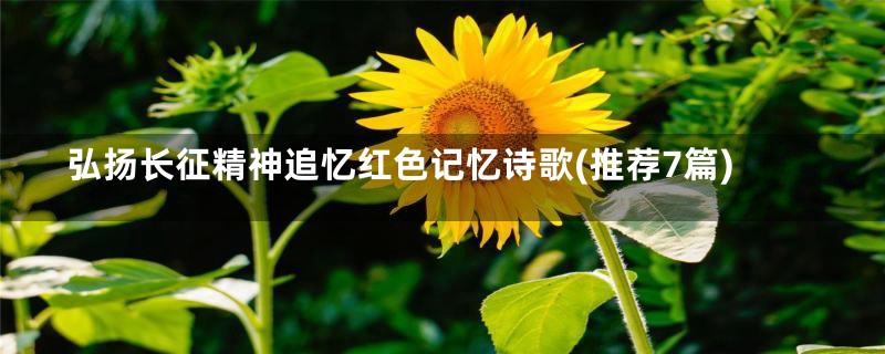 弘扬长征精神追忆红色记忆诗歌(推荐7篇)