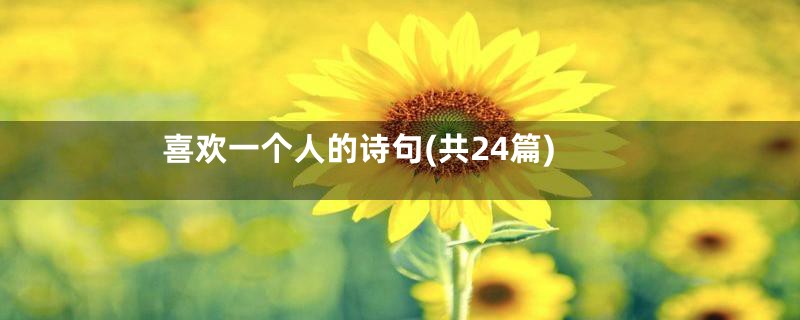 喜欢一个人的诗句(共24篇)
