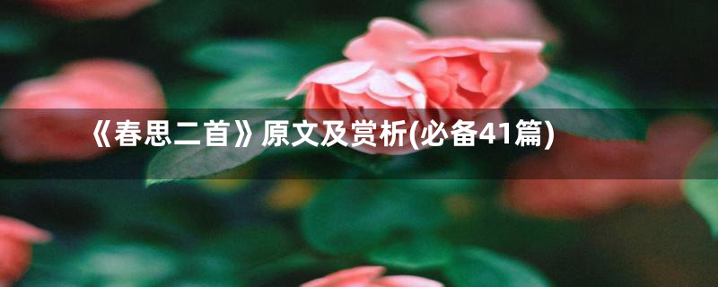 《春思二首》原文及赏析(必备41篇)