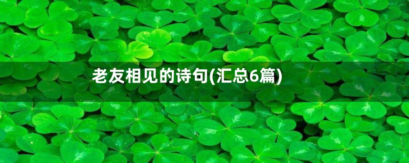 老友相见的诗句(汇总6篇)