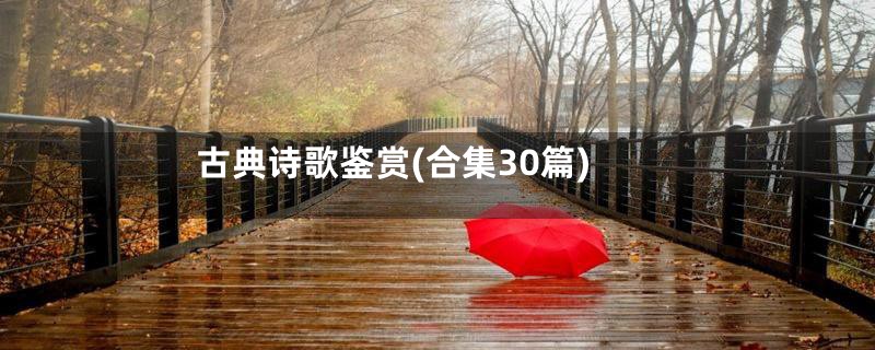 古典诗歌鉴赏(合集30篇)