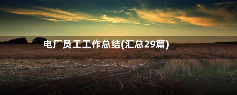 电厂员工工作总结(汇总29篇)