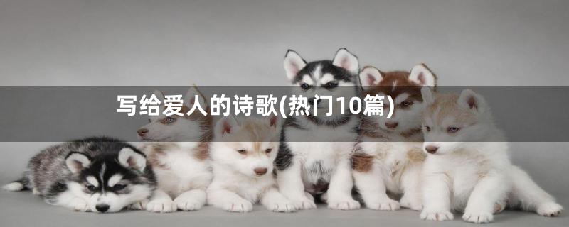 写给爱人的诗歌(热门10篇)