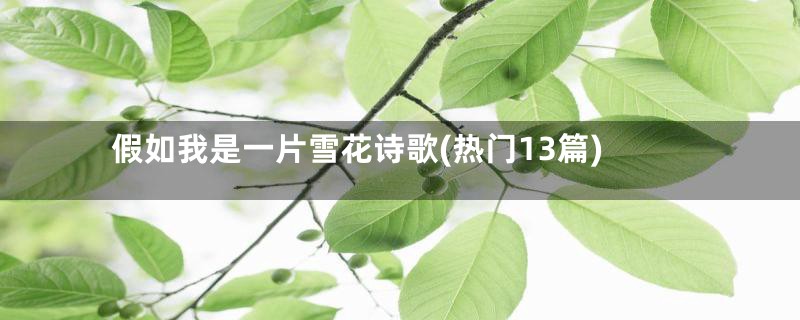 假如我是一片雪花诗歌(热门13篇)