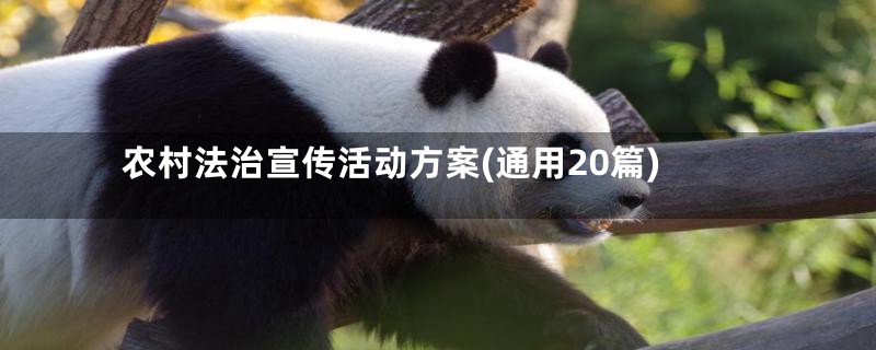 农村法治宣传活动方案(通用20篇)