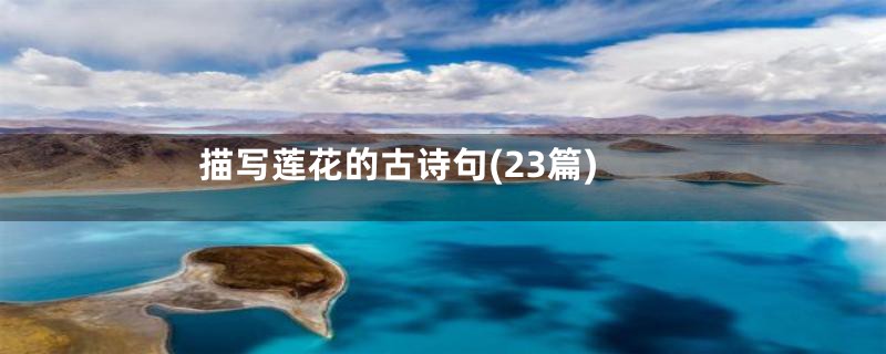 描写莲花的古诗句(23篇)
