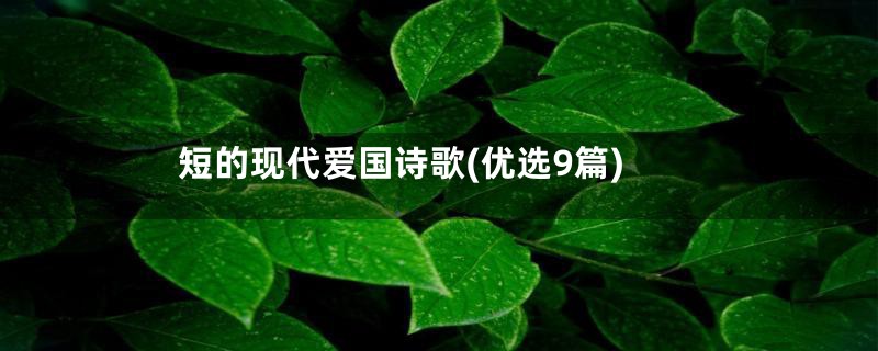短的现代爱国诗歌(优选9篇)