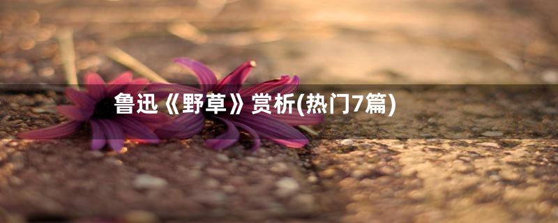 鲁迅《野草》赏析(热门7篇)