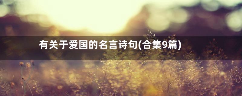 有关于爱国的名言诗句(合集9篇)
