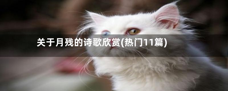 关于月残的诗歌欣赏(热门11篇)