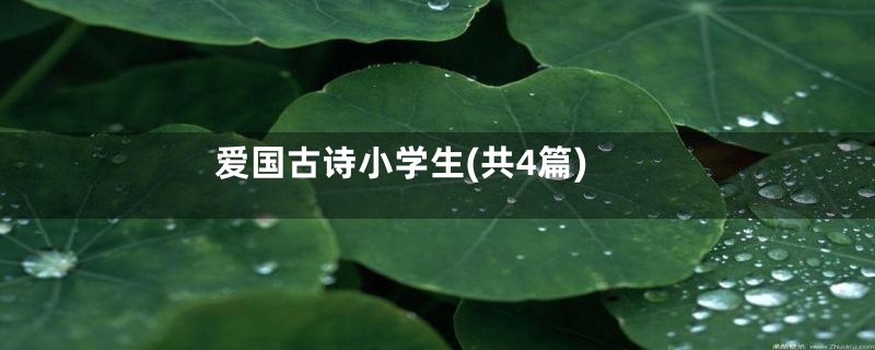 爱国古诗小学生(共4篇)