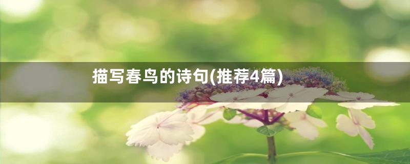 描写春鸟的诗句(推荐4篇)