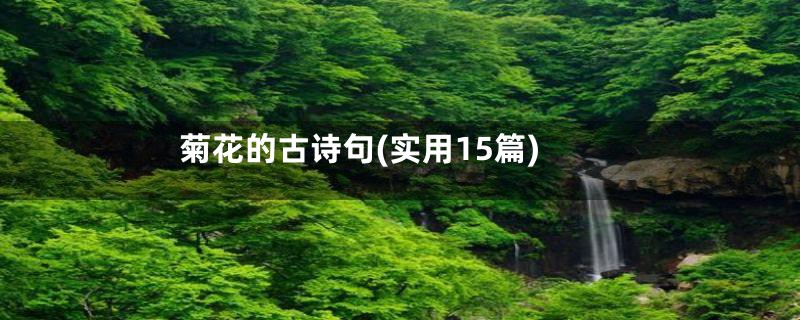 菊花的古诗句(实用15篇)