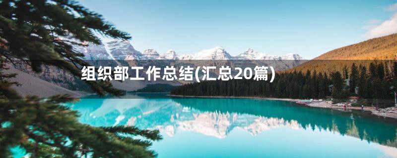 组织部工作总结(汇总20篇)
