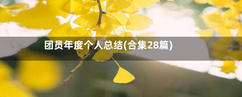 团员年度个人总结(合集28篇)