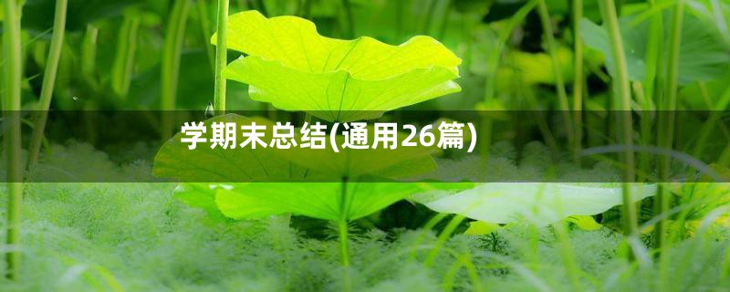 学期末总结(通用26篇)