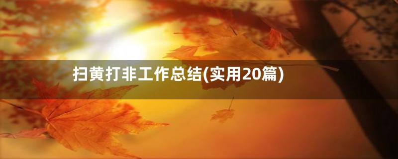 扫黄打非工作总结(实用20篇)