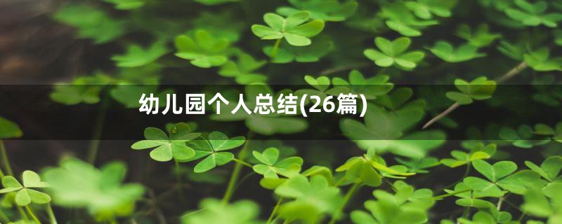 幼儿园个人总结(26篇)
