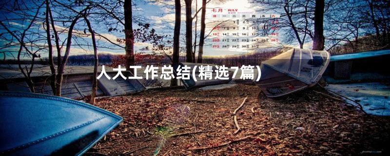 人大工作总结(精选7篇)
