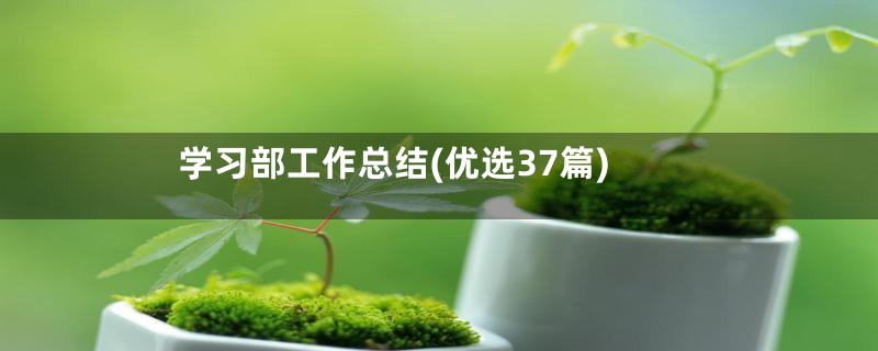 学习部工作总结(优选37篇)