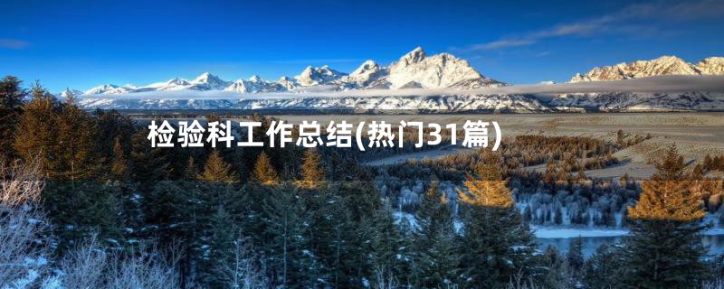 检验科工作总结(热门31篇)