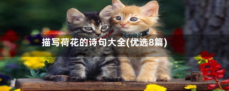 描写荷花的诗句大全(优选8篇)