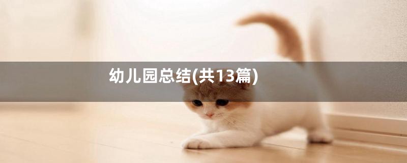 幼儿园总结(共13篇)