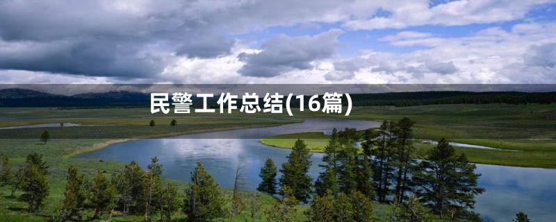 民警工作总结(16篇)