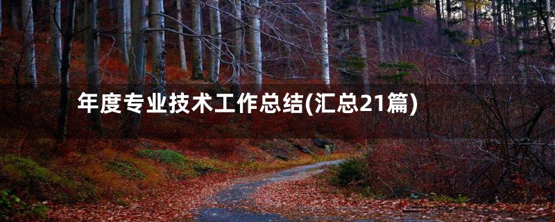 年度专业技术工作总结(汇总21篇)