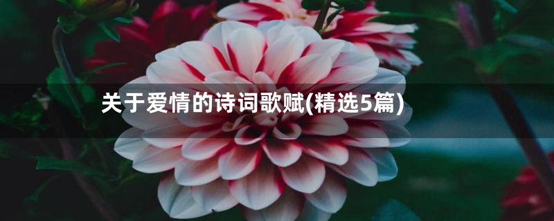 关于爱情的诗词歌赋(精选5篇)