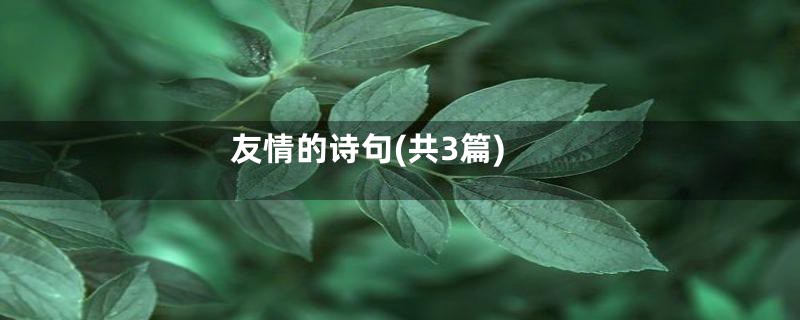 友情的诗句(共3篇)