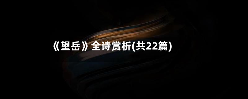 《望岳》全诗赏析(共22篇)