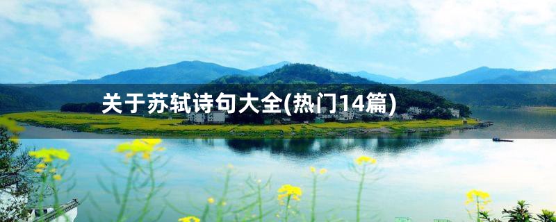 关于苏轼诗句大全(热门14篇)