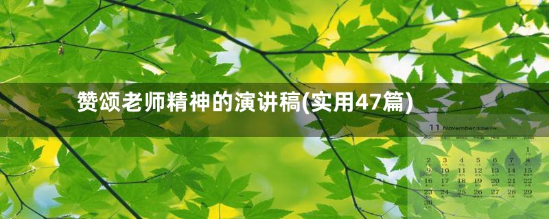 赞颂老师精神的演讲稿(实用47篇)