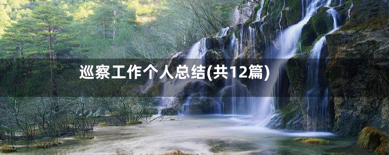 巡察工作个人总结(共12篇)