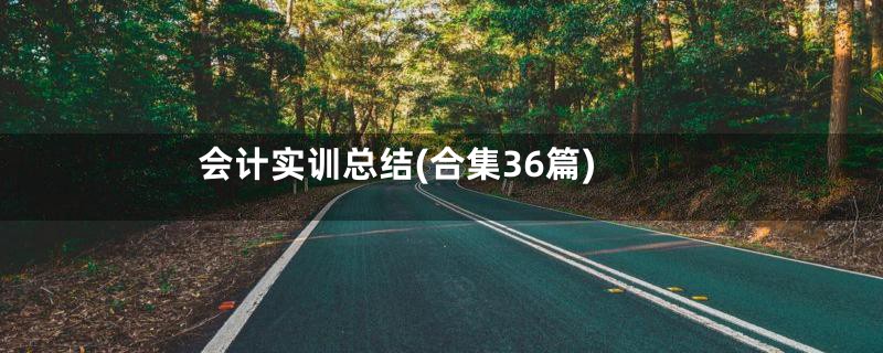 会计实训总结(合集36篇)