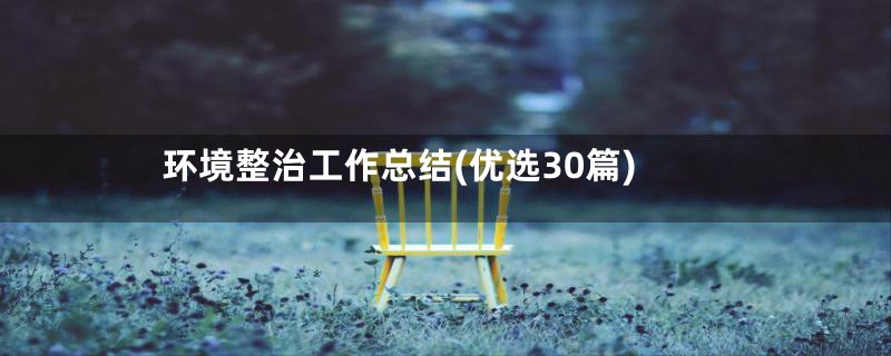 环境整治工作总结(优选30篇)